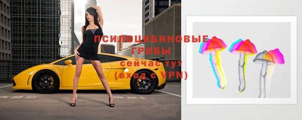 винт Армянск