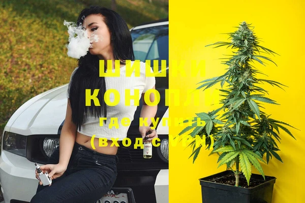 гидропоника Аркадак