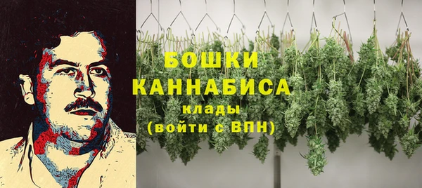 стаф Пролетарск
