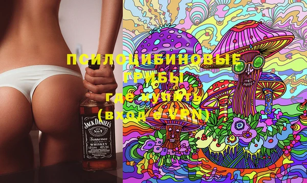 дурь Арсеньев